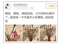 ��ľ�괺���ž黨ˢ������Ȧ�������������20Ԫһ��