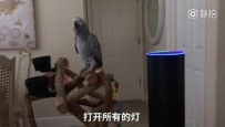 �ɾ��ˣ����Ľ�����ѷ�������ֿ��˵ƣ������ö��˻�