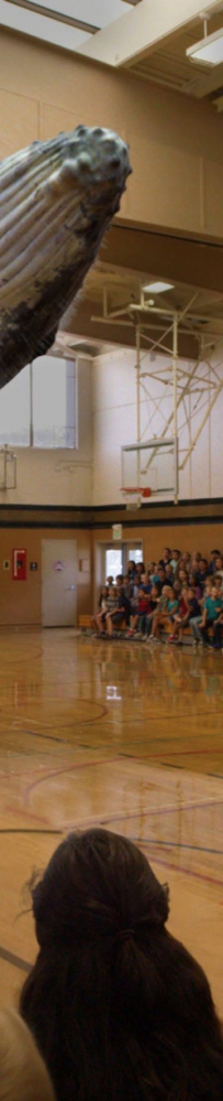 �����صĹ�˾ Magic Leap �����׿� MR �۾���Magic Leap One��