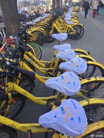 ������¸߶ȣ�С�Ƴ���Ħ������������