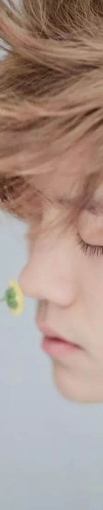 ¹��ЧӦ��90��С¹��������ҵ��ͼ�͡�����ۡ�Ͷ����