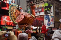 ���̫�������ж����������׶��¯����è˫11Ц��