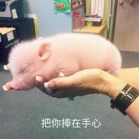 ���׷���Ͷ��������������Ϸ�������������ǡ���ҵ����