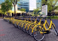 ofo����������½���� ����Ͷ����100����С�Ƴ�