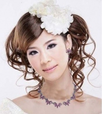 ��ʽ��������̷� �ʺ�����������̷�����ͼƬ