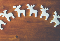 ���ݸ��ѽ������°볡��֪ʶ�����Ϊ�λ��ˣ�