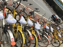 С���ӵ��˹������������ϣ�Ħ�ݳ�������