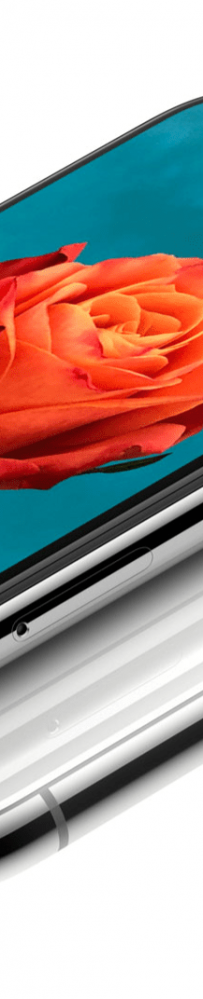 ƻ������ 2019 �� iPhone ������������� L �͵�������