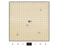 Google��AlphaGoΧ���ѧ����������ת