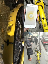 ��������˫��ͷʱ������ofo������ִ���벩��