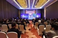 ���������� ������ʽ�ط�Һ��ͶӰ���г�