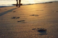 ����ȥ��һ������ô֪��SEO�������ж��