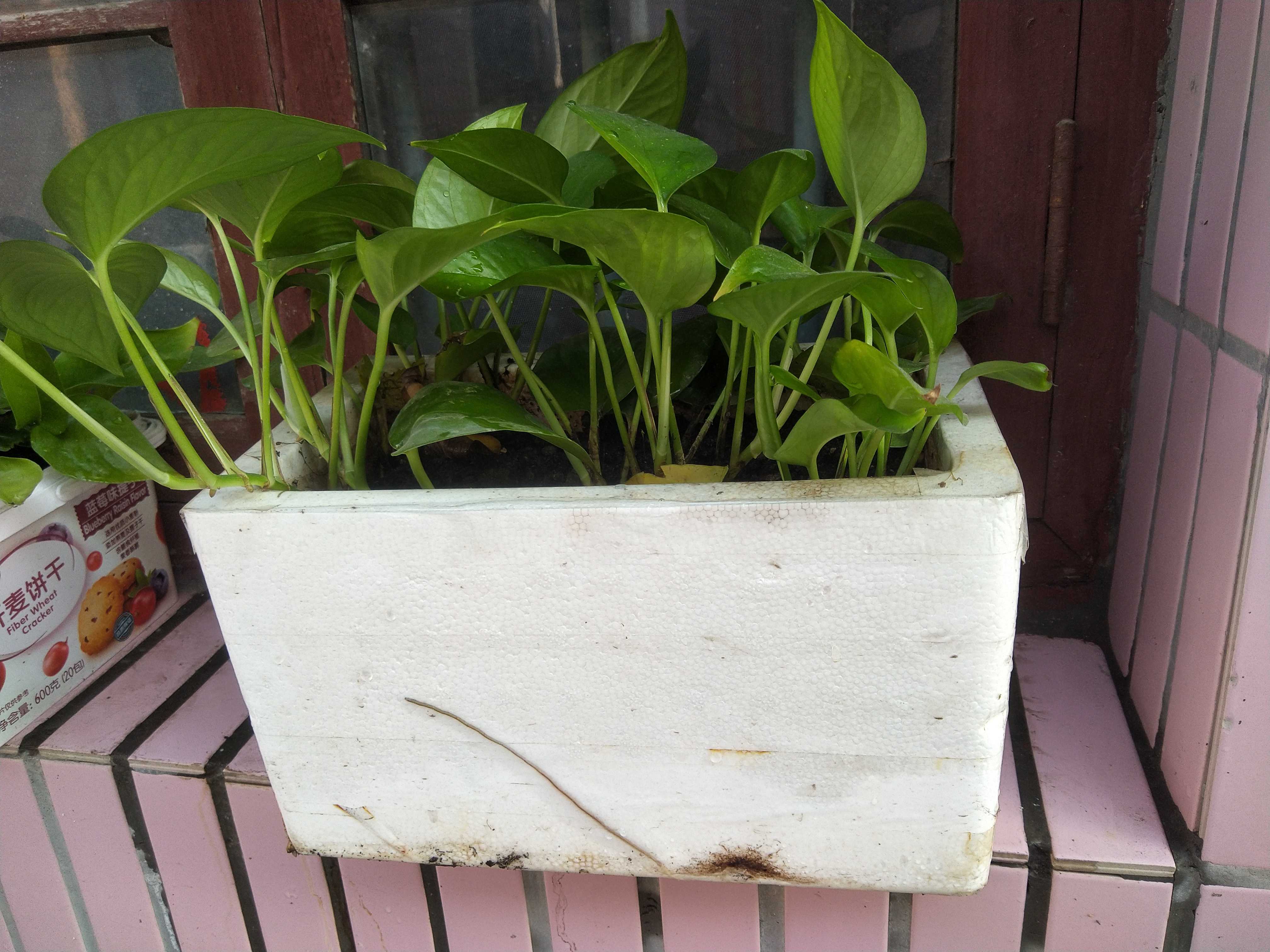 文件 : <FONT COLOR='red'>IMG_20221022_152937.jpg</FONT> <BR> 尺寸 : <FONT COLOR='blue'>4032 × 3024</FONT> 像素 <BR> 格式 : <FONT COLOR='green'>jpg</FONT> <BR> 大小 : <FONT COLOR='green'>779.66</FONT> KB