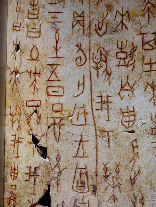 一片甲骨惊天下 甲骨文从何而来？为何“一字千金”？