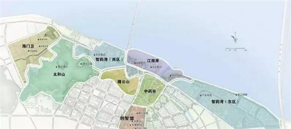 陈挺晨：“凤凰计划”再造椒江传统产业新辉煌