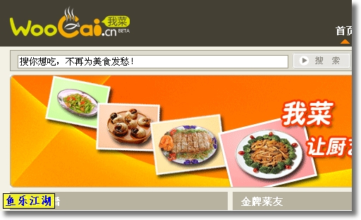 我所知道的专业搜索引擎