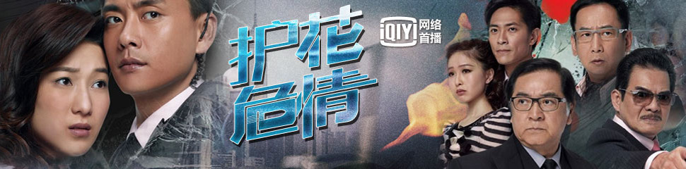 电视剧《护花危情》全集 剧情介绍 在线观看资源