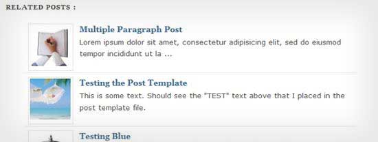 Wp-Thumbie C Related Posts with Thumbnails