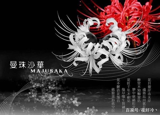 唯美古风：多少红颜悴，多少相思碎，唯留血染墨香哭乱冢