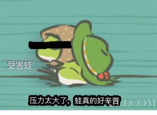 老阿姨再不好好“护眼” 就剩下等着你的蛙儿子回家了