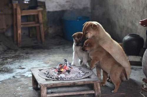 搞笑图片:来 取会暖吧