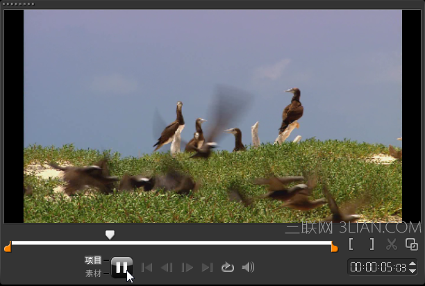 预览效果