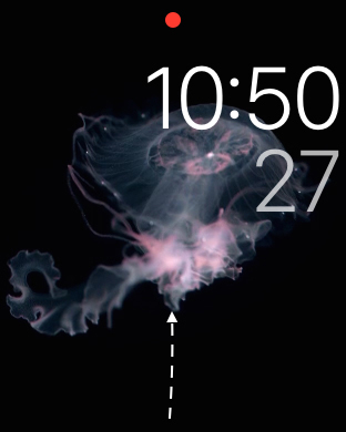 Apple Watch怎么定位iPhone 三联