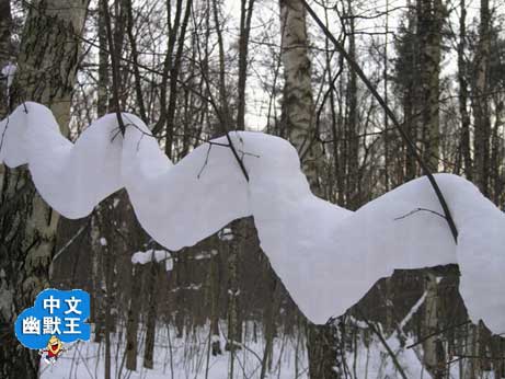 搞笑图片:像条毛巾，这雪怎么下的呀