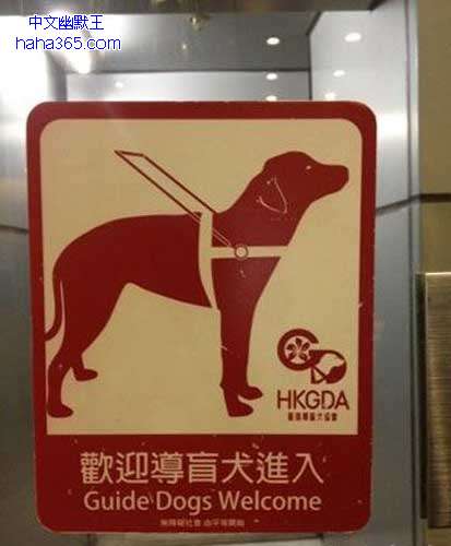 搞笑图片:给人看的还是给狗看的
