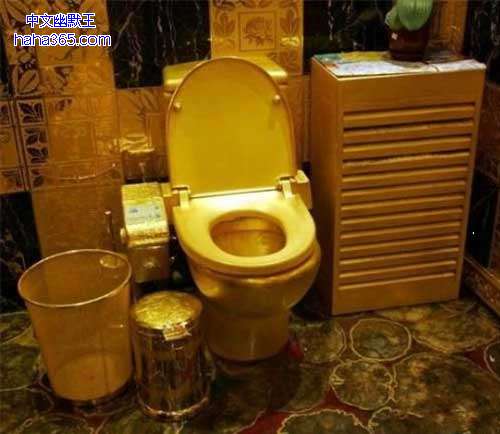搞笑图片:土豪家的金厕所