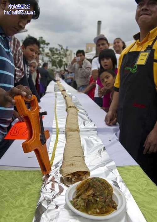 搞笑图片:世界上最长的卷饼