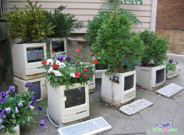 搞笑图片:花盆