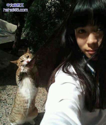搞笑图片:姑娘拍个照，小猫你凑什么热闹