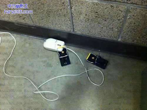 搞笑图片:抓住老鼠了