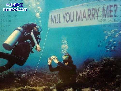 搞笑图片:水下求婚