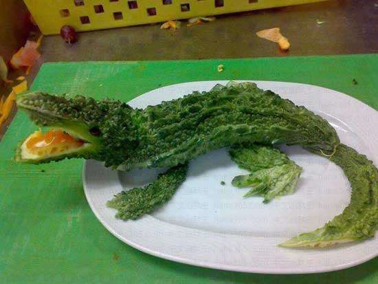 搞笑图片:黄瓜鳄鱼