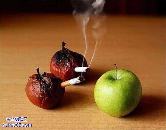 搞笑图片:吸烟有害健康