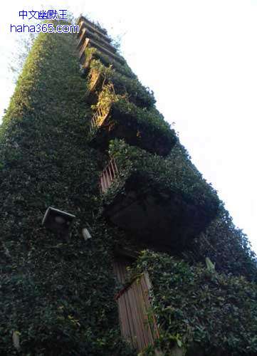 搞笑图片:一个八层的建筑完全被植物覆盖