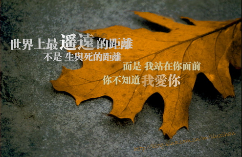 世界上最遥远的距离：中英文完整版
