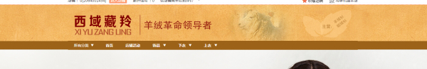 新旺铺如何将导航和店招装修成通栏？ 10