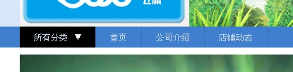 淘宝店铺导航装修怎么编辑？