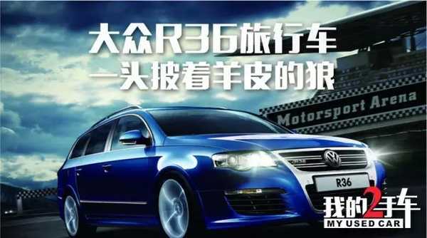 r36 一头披着羊皮的狼