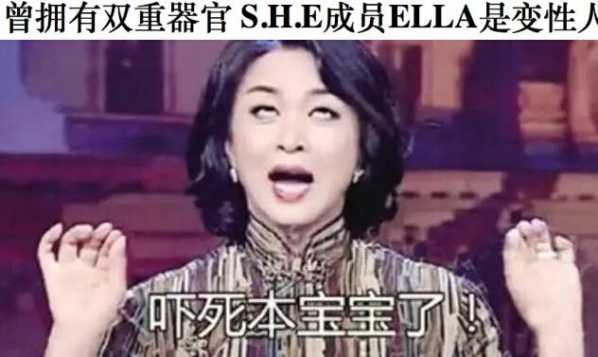 ella变性人 SHE三人的岁月也是太艰辛