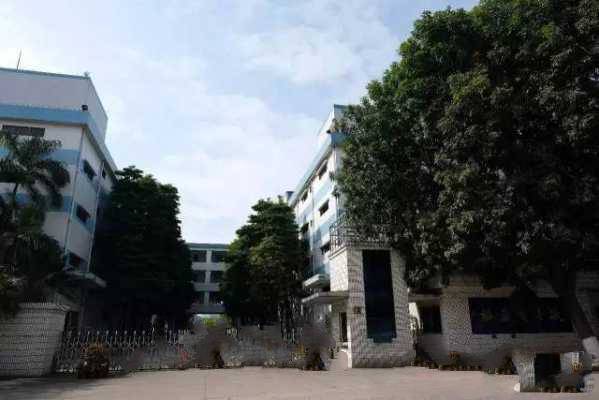 东莞实拍 实拍今天的东莞是这样的
