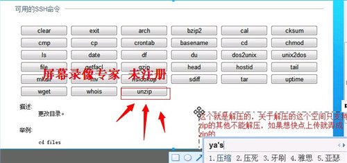 搭建网页客服机器人教程+源码搭建网站客服机器人源码