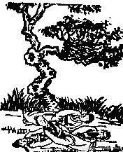  《推背图 》图文全解 （珍藏本 ） ！