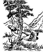  《推背图 》图文全解 （珍藏本 ） ！