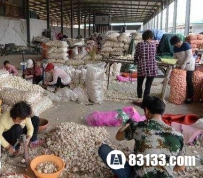揭蒜你狠背后炒作 一夜暴富就是这么简单