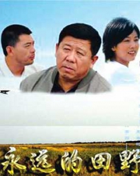 电视剧《永远的田野》全集 剧情介绍 在线观看资源