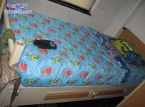 那些搞笑的床单（7张）